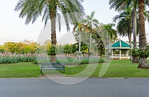 A green wooden bench on fresh green grass smooth lawn carpet beside walkway in front of red and pink Hollyhock and blue Salvia