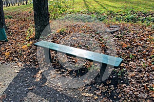 A green wooden bench in the park in the estate of Count Leo Tolstoy in Yasnaya Polyana