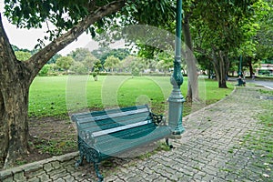 Green wooden bench at sidewalk in public park to sit under the trees for relaxation