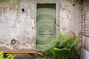 Green wooden door, dirty grunge stucco wall background