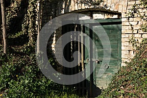 green wooden door of a wine cellar built from bricks