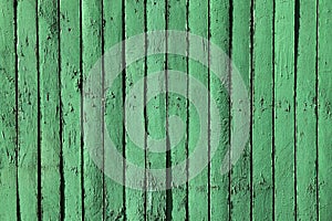 Green wooden fence texture, background. The surface of an old wooden fence for inscription