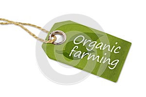 Green wooden hang tag with term Organic farming