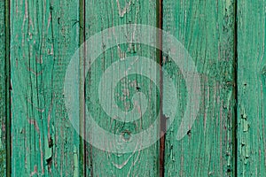 Green wooden wall. Old shabby wooden planks with cracked color paint