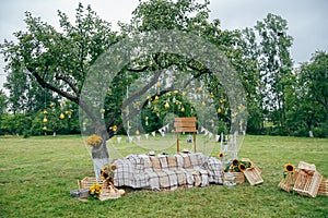 Green wooden yellow flowers photo zone with rustic decorations