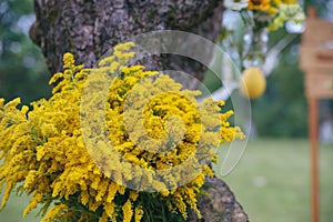 Green wooden yellow flowers photo zone with rustic decorations