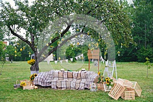 Green wooden yellow flowers photo zone with rustic decorations