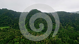 Green woodland mountain hills covered fresh trees under cloudy sky drone view