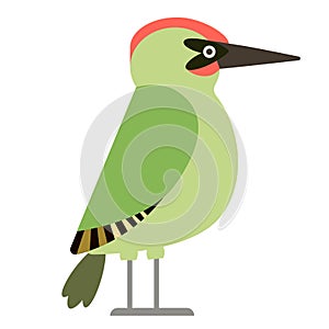 Green woodpecker flat illustration