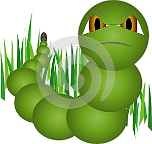 Green worm