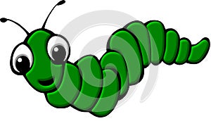 Green worm illustration