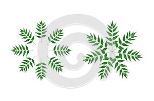 a green wreath with leaves on it logo and iconic round circle vector design set