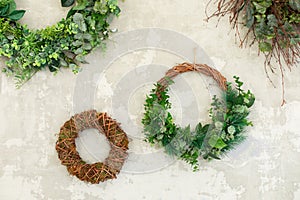 Green wreaths with leaves on grey wall. Wreath made of branches. Flowers composition. Boxwood wreath.