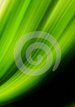 Green yellow abstract Background