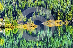 Green Yellow Abstract Background Gold Lake Snoqualme Pass Washington photo