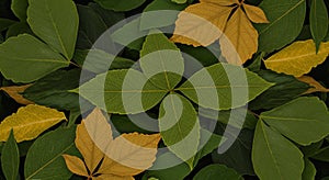 Green and Yellow Autumn Leaves Texture Background