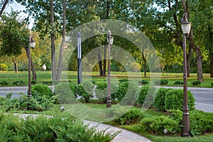 Green-yellow autumn park with clipped bushes and low lanterns