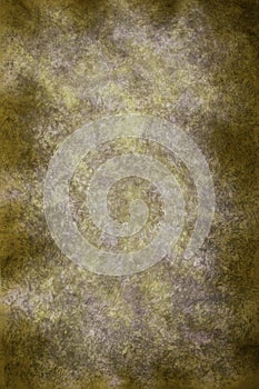 Green and Yellow Background Backdrop