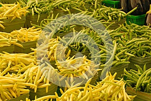 Green and yellow beans