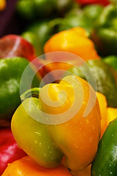 Green and Yellow Bell Peppers