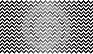 Vector Interlacing Black and White Zigzag Stripes Texture Background photo