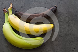 Green, yellow and brown banana on dark background, three level of ripeness of bananas, concept