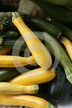 Green and yellow courgette in the marketplace
