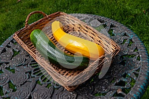 Green and yellow courgettes