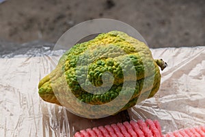 A green and yellow etrog or citron fruit used in the ritual observance of Sukkot.
