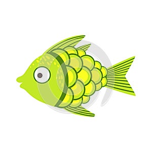 Green And Yellow Fantastic Colorful Aquarium Fish, Tropical Reef Aquatic Animal