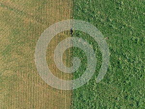 Farmland overlook by drone DJI mavic mini photo