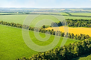 Green and yellow fields above aerial view