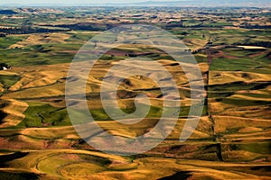 Green Yellow Fields Farms Palouse Washington