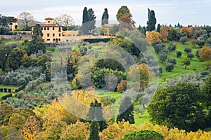 Green and yellow gardens in outskirts of Florence