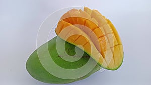 Green and yellow mangoes in summer