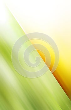 Green and yellow motive