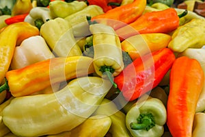 green yellow orange red bell pepper paprika on a farmer's market