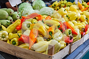 green yellow orange red bell pepper paprika on a farmer's market