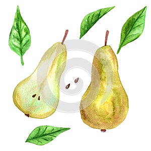 Green yellow pear, cut pear and green leaves. Hand drawn watercolor illustration. Isolated on white background