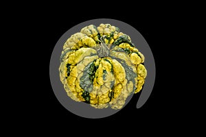 Green- yellow pumpkin on black background