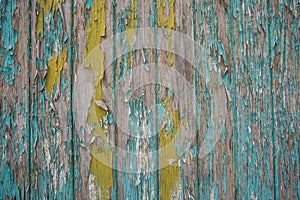 Green and yellow Real Wood Texture Background. Vintage and Old