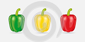 Green ,yellow and red bell pepper flat icon.