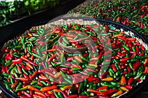 Green, yellow and red peppers for sale at the famous and grandiose SÃ£o Joaquim fair