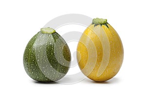 Green and yellow round zucchini