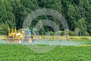 Green and yellow tractor fertilizing a green potato field