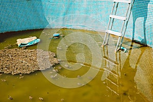 Green yellow water in swimming pool, problem service concept. Dirty abandoned pool