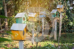 Green and Yellow wooden birdhouse on post in the garden on summer or spring sunshine with natural green leaves background