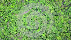 Green Yilan Mountain Hills with Lush Foliage in Taiwan. Aerial View