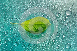 green young Apple leaf and water drops on green background ecology concept