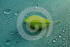 green young Apple leaf and water drops on green background ecology concept